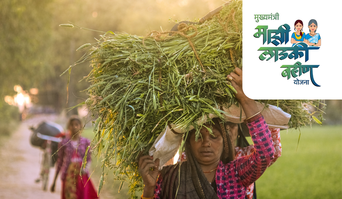 लाडकी बहन योजनेत सहभागी महिलांना मोठा धक्का, आता फक्त ५०० रुपये का मिळणार जाणून घ्या